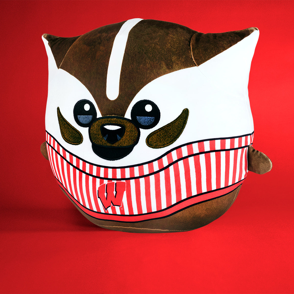 Wisconsin Badgers Bucky Badger 12&quot; Mascot Kiri Cloud Pillow Plushie